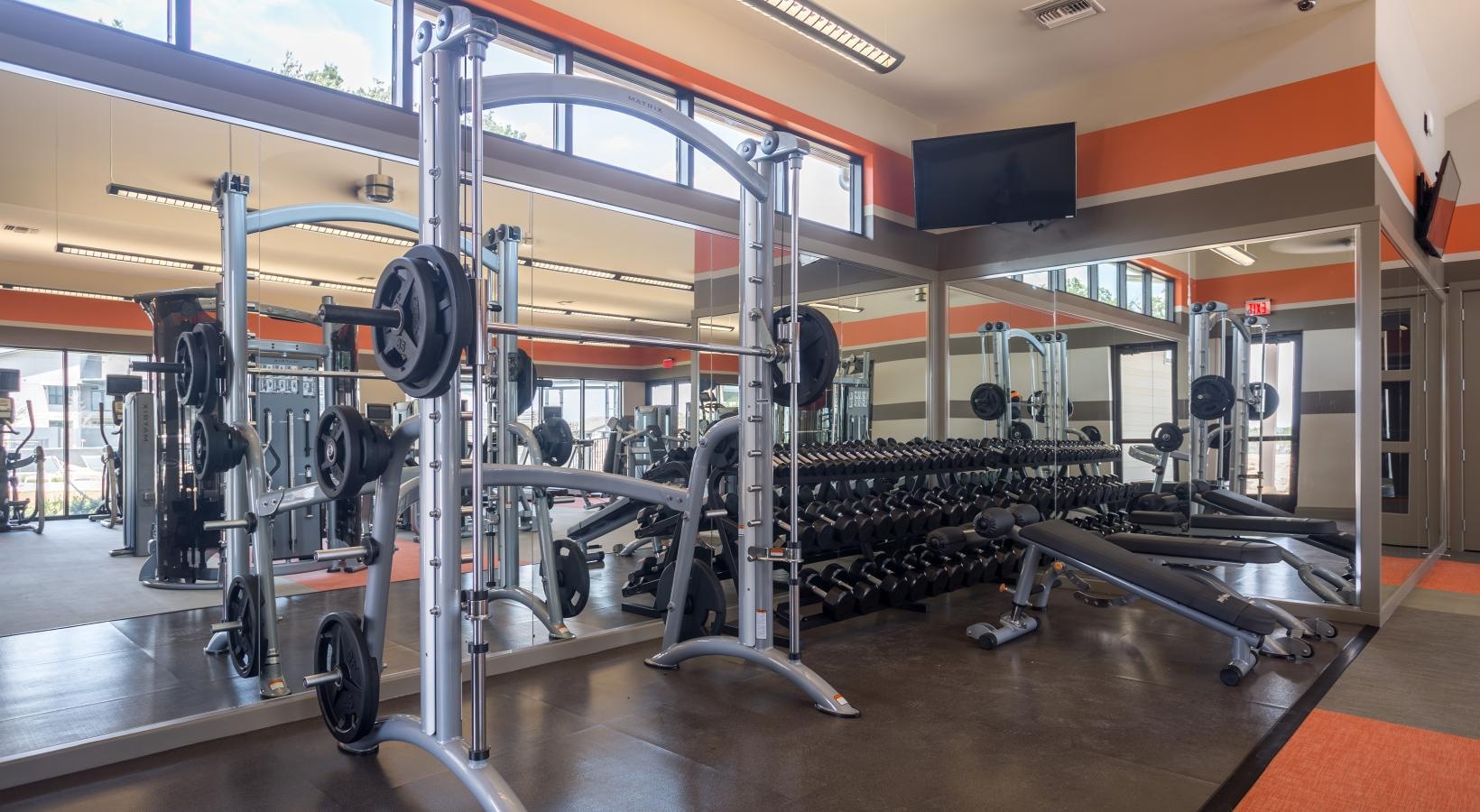 Get your workout on free weights in gym