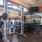 free weights in gym