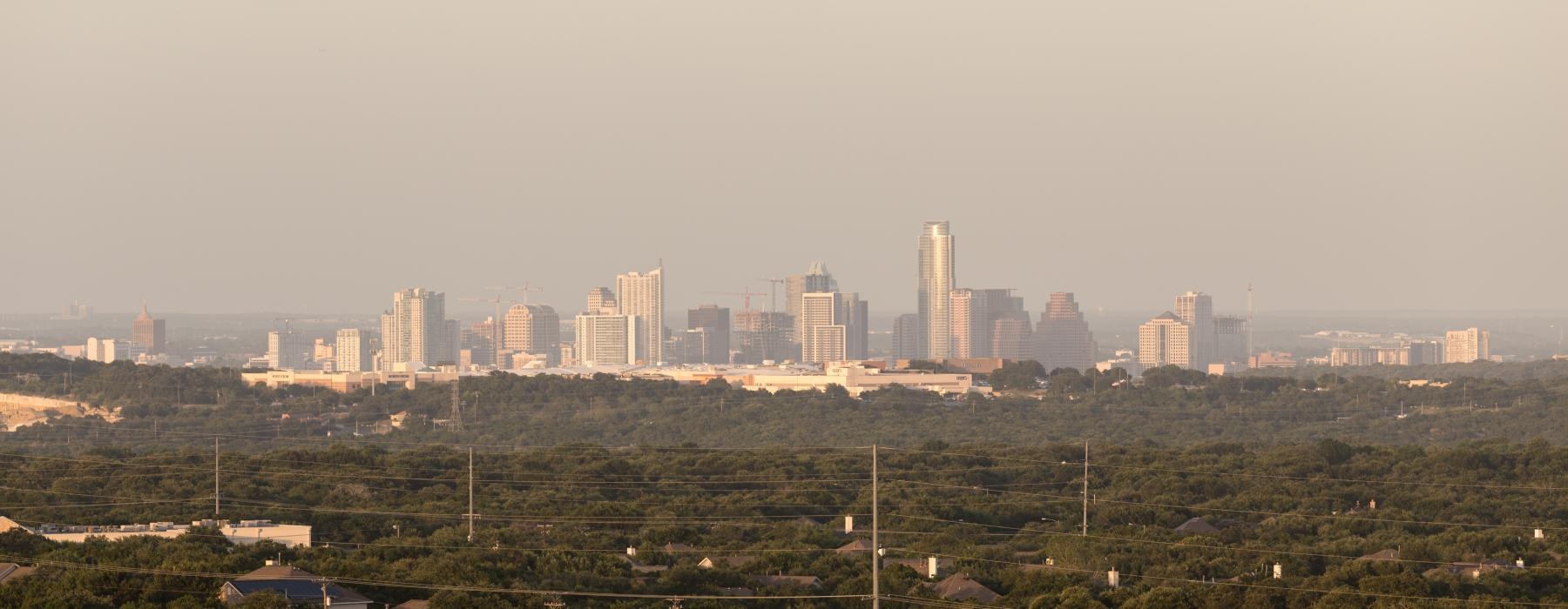 a city skyline with trees