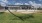 lawn with hammocks